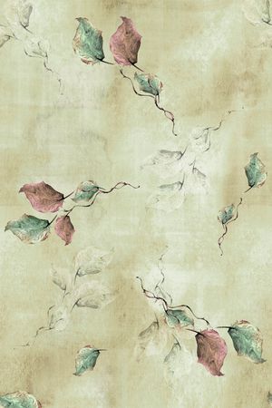 女装印花花型图片