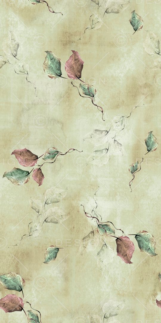 女装印花花型图片