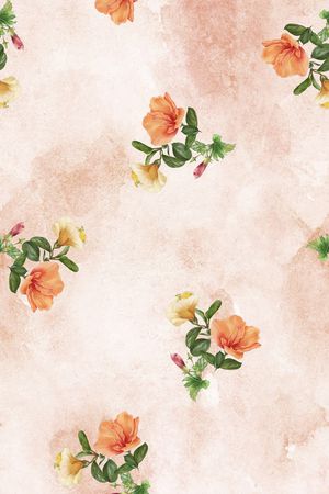 女装印花花型图片