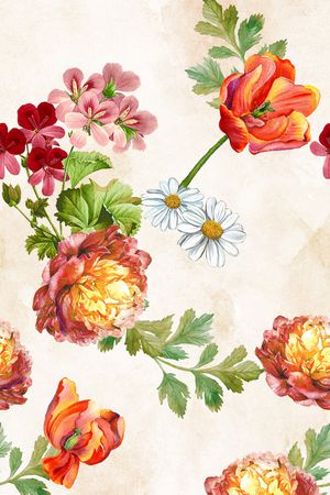 女装印花花型图片