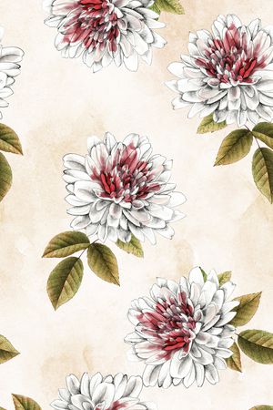 女装印花花型图片