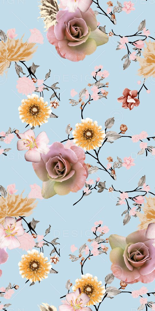 女装印花花型图片