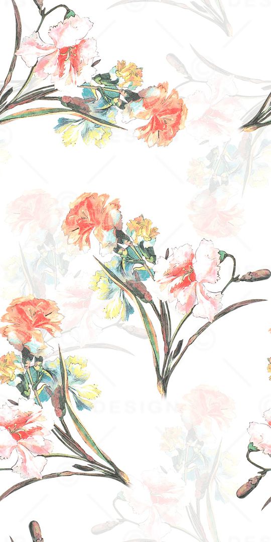 女装印花花型图片