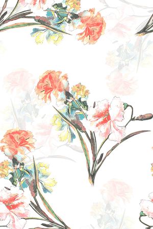 女装印花花型图片