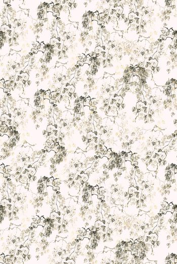 1422103-X21-31-2