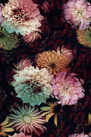朦胧花卉印花花型图片