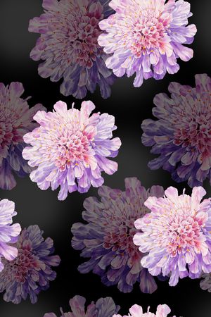 水彩印花花型图片