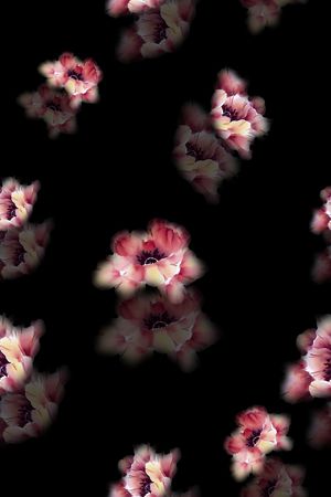 花卉印花花型图片