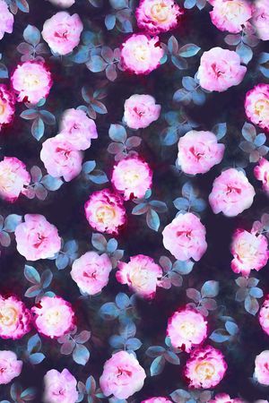 女装印花花型图片