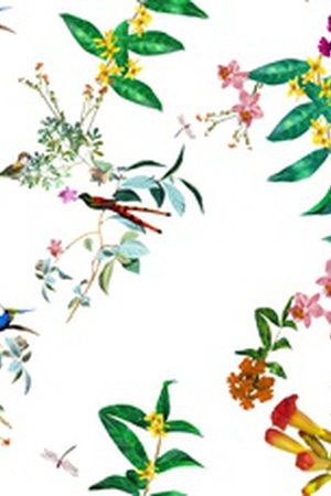鸟印花花型图片