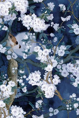 花鸟印花花型图片