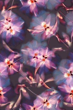 肌理印花花型图片