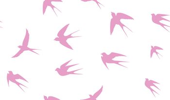 1450742-女装-衬衣-燕子-粉色