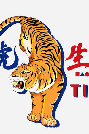 胸前独幅印花花型图片