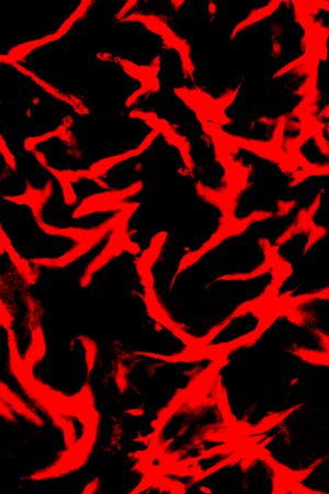 纹理印花花型图片