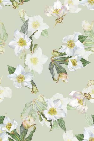 清爽底花卉印花花型图片