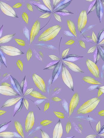 1466058-枫叶，紫