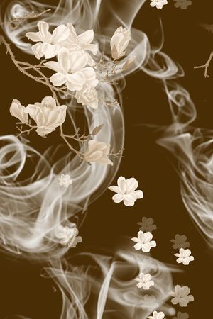 玉兰花印花花型图片