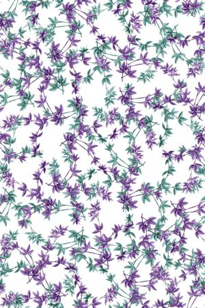 双色印花花型图片