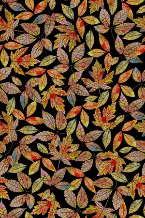 真丝印花花型图片