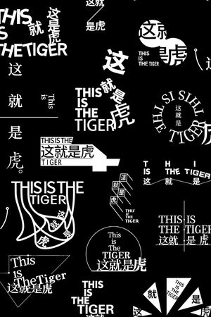 大衣印花花型图片