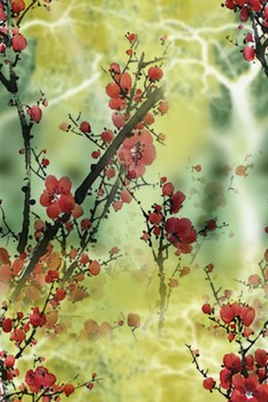 梅花印花花型图片