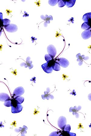 水彩印花花型图片