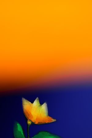 渐变印花花型图片