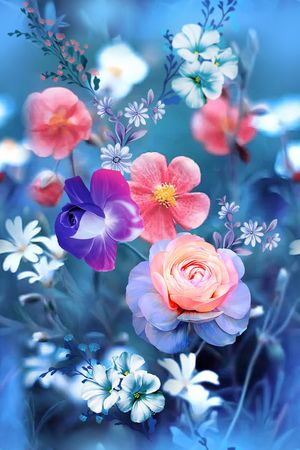 女装印花花型图片