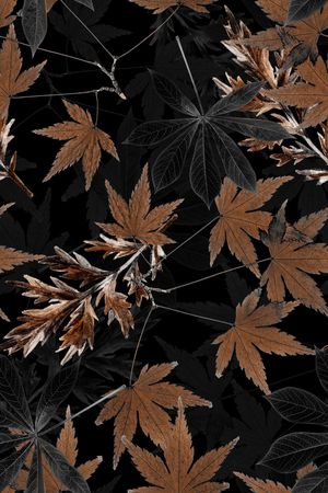 绿植树叶印花花型图片