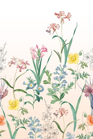 女装定位花印花花型图片