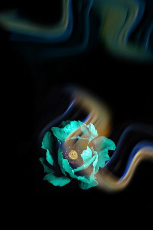 渐变印花花型图片