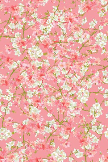 1487454-花卉20090