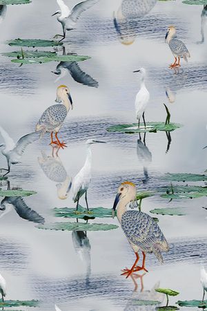 女装印花花型图片