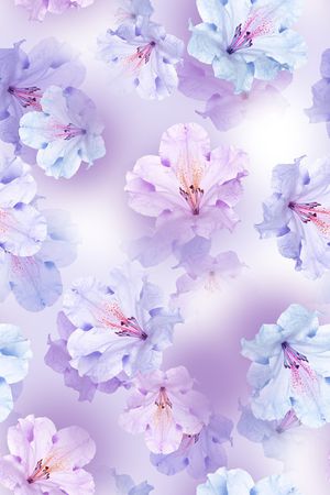 花卉印花花型图片