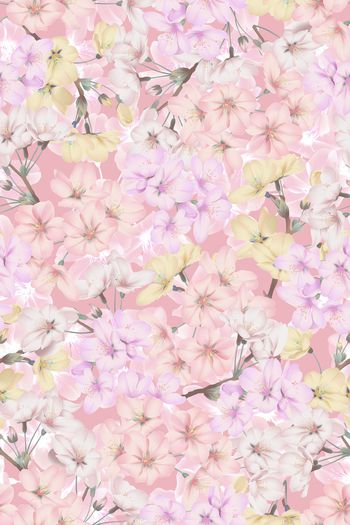 1493629-花卉20107