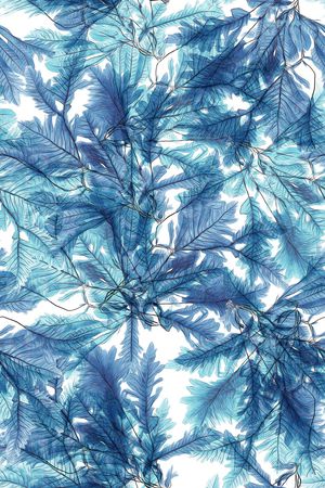 绿植树叶印花花型图片