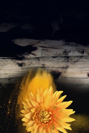 抽象印花花型图片