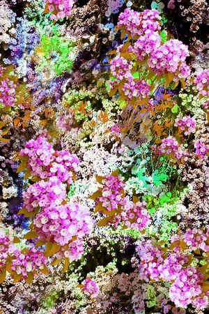 摄影写实花卉印花花型图片