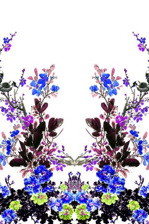 水墨印花花型图片