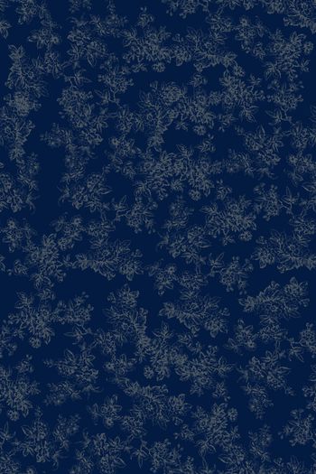 1496635-花卉20120