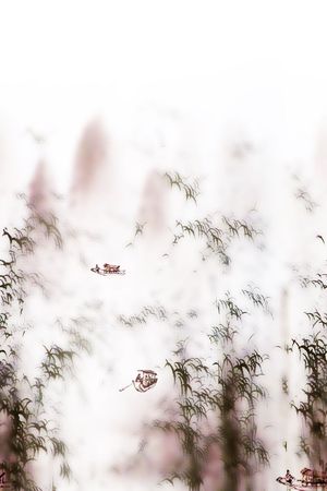 水墨印花花型图片