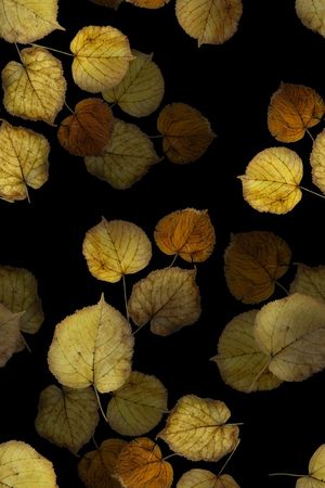 绿植树叶印花花型图片