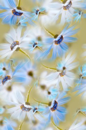 花卉印花花型图片