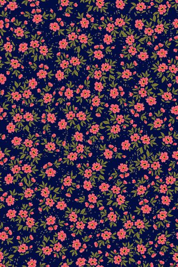 1499431-花卉20130