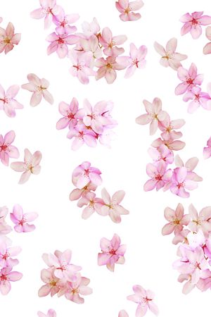 花卉印花花型图片