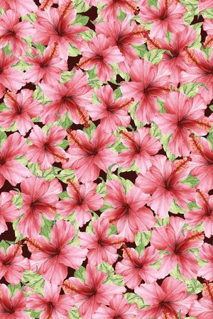 花卉印花花型图片
