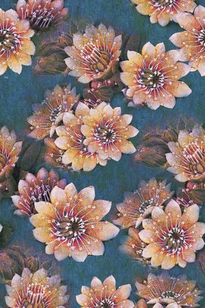 花卉印花花型图片