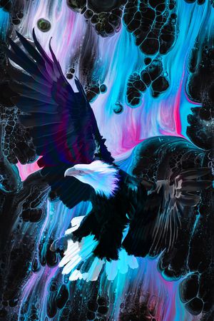 老鹰印花花型图片