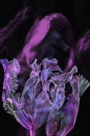 香云纱印花花型图片